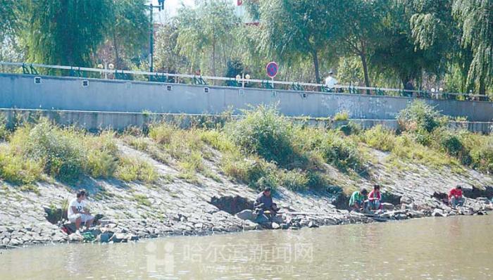 哈尔滨防洪堤现大坑 连串“钓鱼坑”蚕食防洪堤