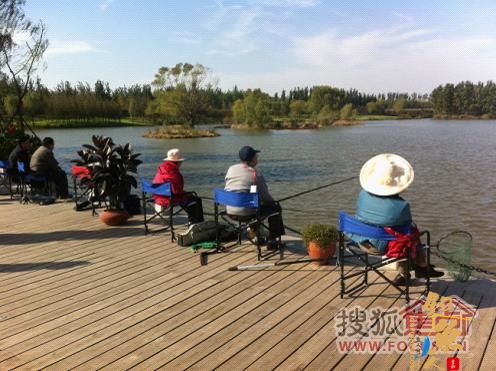 蓝石·大溪地2011年业主秋季钓鱼大赛11月6开竿垂钓 图