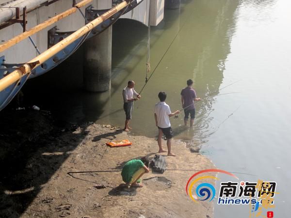 三亚市区禁止沿桥垂钓 大多钓鱼者表示不知情 图