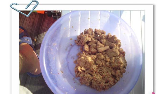 (转载)自制冷冻饵使用总结 