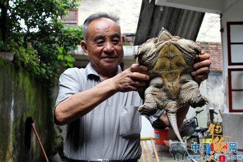 钓鱼