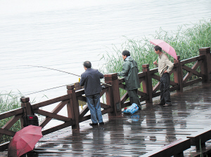 年嘉湖垂钓为何屡禁不止 市民冒雨钓鱼 激情不减