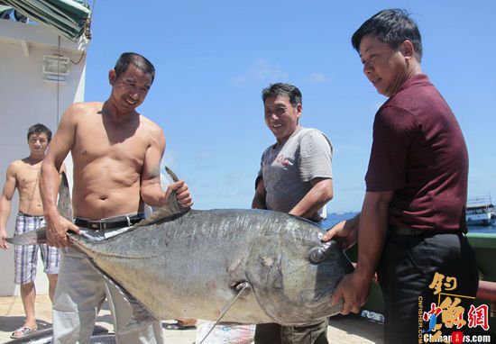 海南渔民南沙钓得40KG大鱼