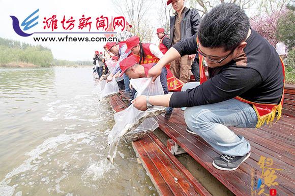 环渤海生态保护志愿服务活动启动仪式在潍坊举行