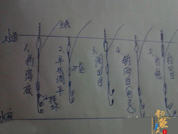 台钓新手学钓鱼简易调漂技巧(调四钓二)