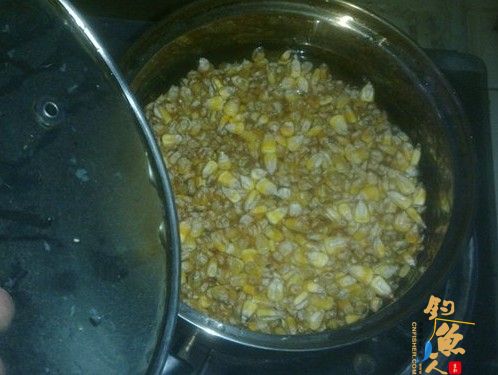 自制玉米粒钓鲤鱼饵料配方
