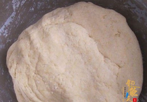 玉米面白面野钓鲫鱼鲤鱼饵料配方
