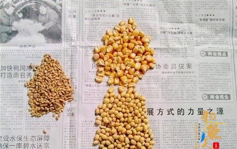 自制诱饵窝料(鲫鱼鲤鱼草鱼通杀)