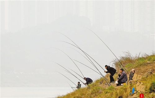 长江禁渔十多天 仍有垂钓者