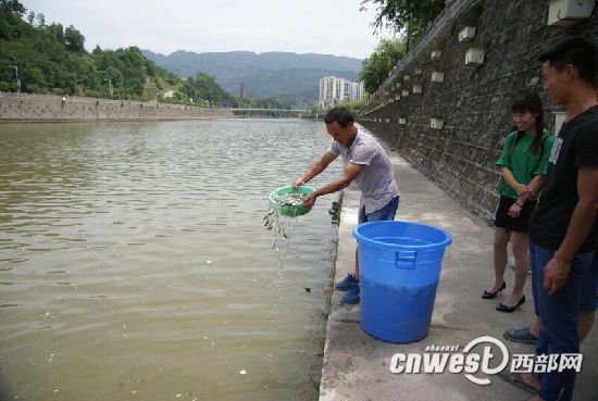宁强县钓鱼爱好者放流鱼苗6千尾 维护天然水域生态环境