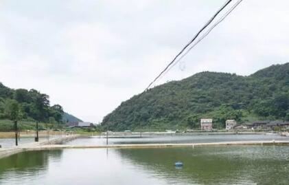重庆这些钓鱼场太巴适了 景美清净鱼情好