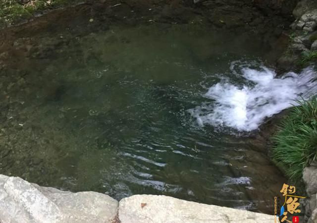 废弃取水潭这种鱼多，钓鱼最怕遇上它，拿来下酒却超赞