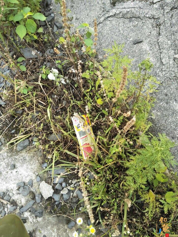 第十一场转移战场，兄弟约钓水库大坝