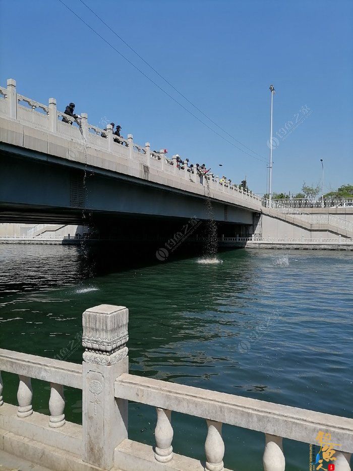 浅谈自己钓鲶鱼的一点经验，转