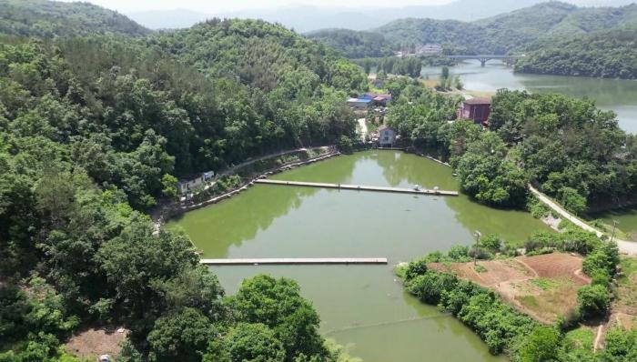 南漳：盛夏未至 乡村“钓鱼经济”热起来