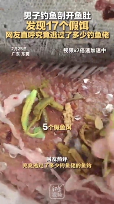 男子钓鱼剖开鱼肚发现17个假饵 网友：究竟躲过多少钓鱼佬