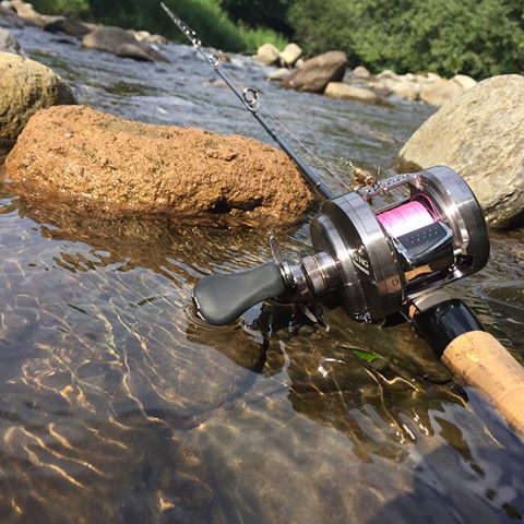 SHIMANO 17 CALCUTTA CONQUEST BFS HG 使用之观感