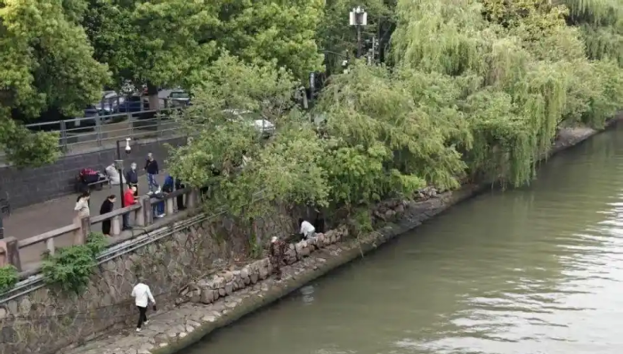 杭州老人坠河，男子跳河救人发现水太深：甩鱼竿把人拉向岸边