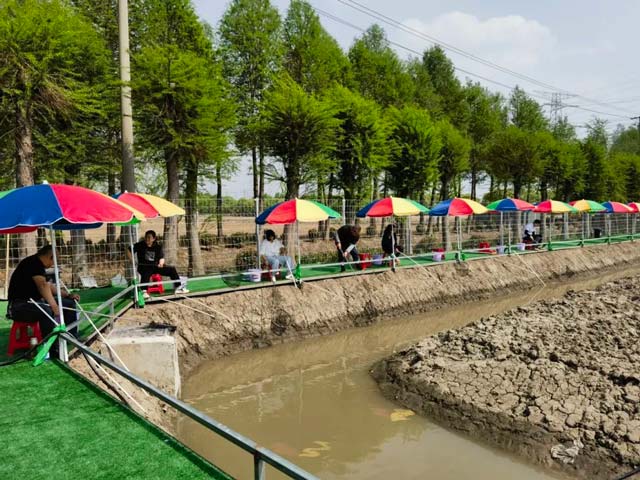 能钓小龙虾、还有小动物！松江这里新增一处垂钓基地