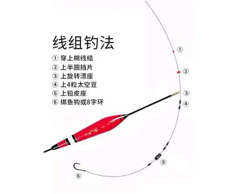 朝天钩配台钓漂技巧,精准捕捉鱼讯好钓鱼 台钓漂线组