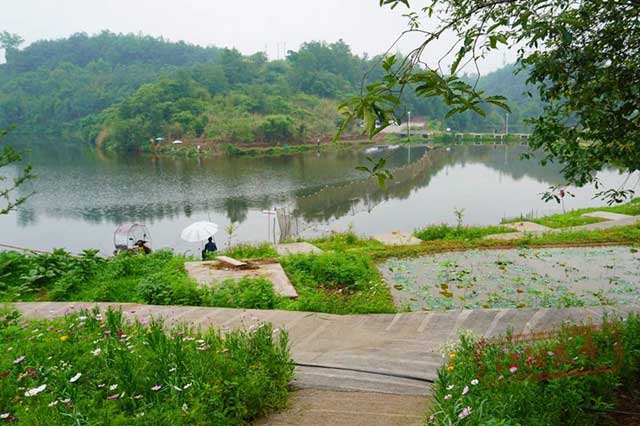 江阳区垂钓新去处 休闲“渔”乐，集体经济有“钱”途