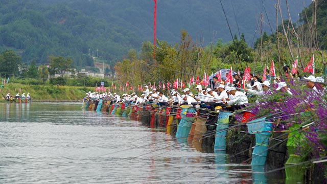 龙里：160名野钓爱好者“村钓”...